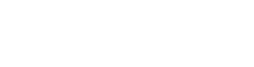 Logo bianco